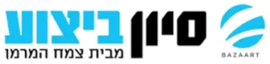 סיון ביצוע